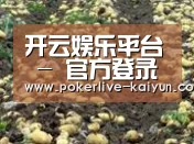 种植基地七