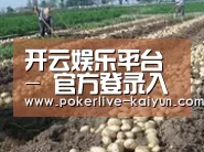 种植基地八