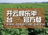 种植基地五
