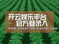 种植基地六(图1)