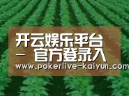 种植基地六