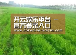 种植基地四