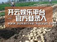 种植基地七(图1)