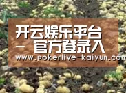 种植基地八(图1)