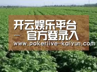 种植基地五(图1)