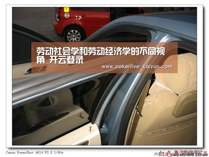 劳动社会学和劳动经济学的不同视角_开云登录(图2) 开云官网