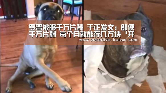 罗晋被曝千万片酬 于正发文:即便千万片酬 每个月就能存几万块‘开云登录’(图3) 开云真人