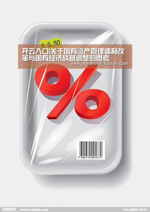 开云入口|关于国有资产管理体制改革与国有经济战略调整的思考(图3) 开云真人
