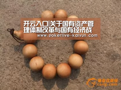 开云入口|关于国有资产管理体制改革与国有经济战略调整的思考(图4) 开云登录
