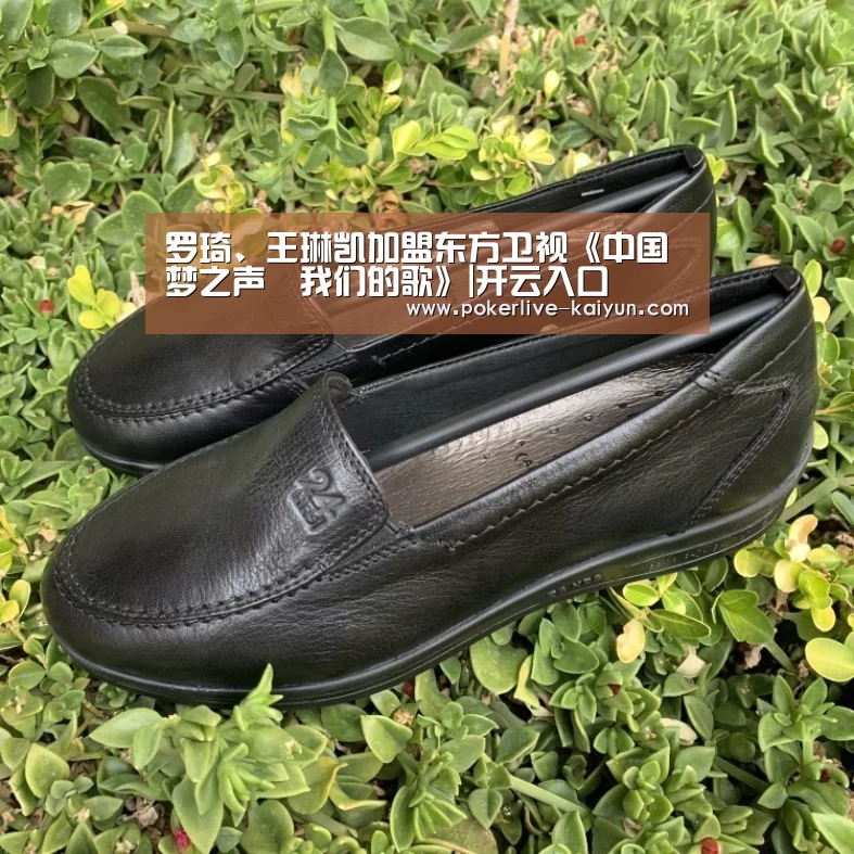 罗琦、王琳凯加盟东方卫视《中国梦之声•我们的歌》|开云入口(图1) 开云登录